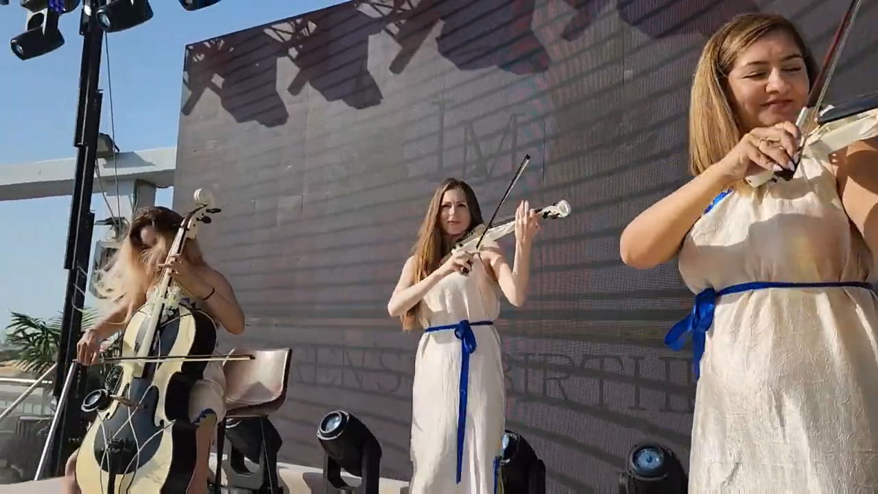 Скрипальки на заходи