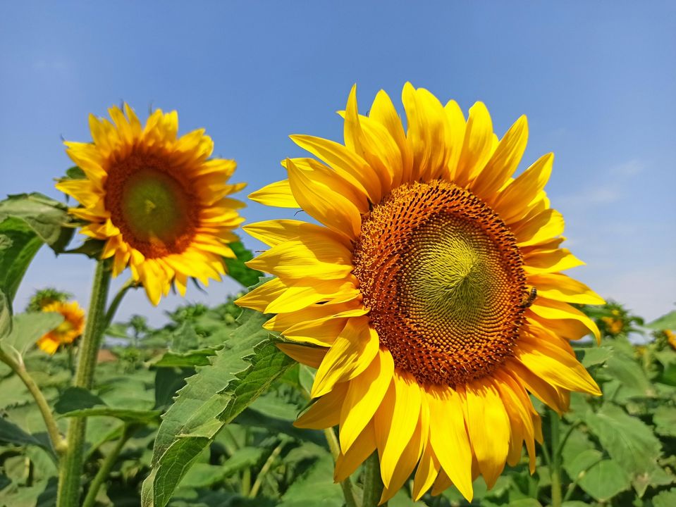 Український культурний центр в Тель-Авіві
