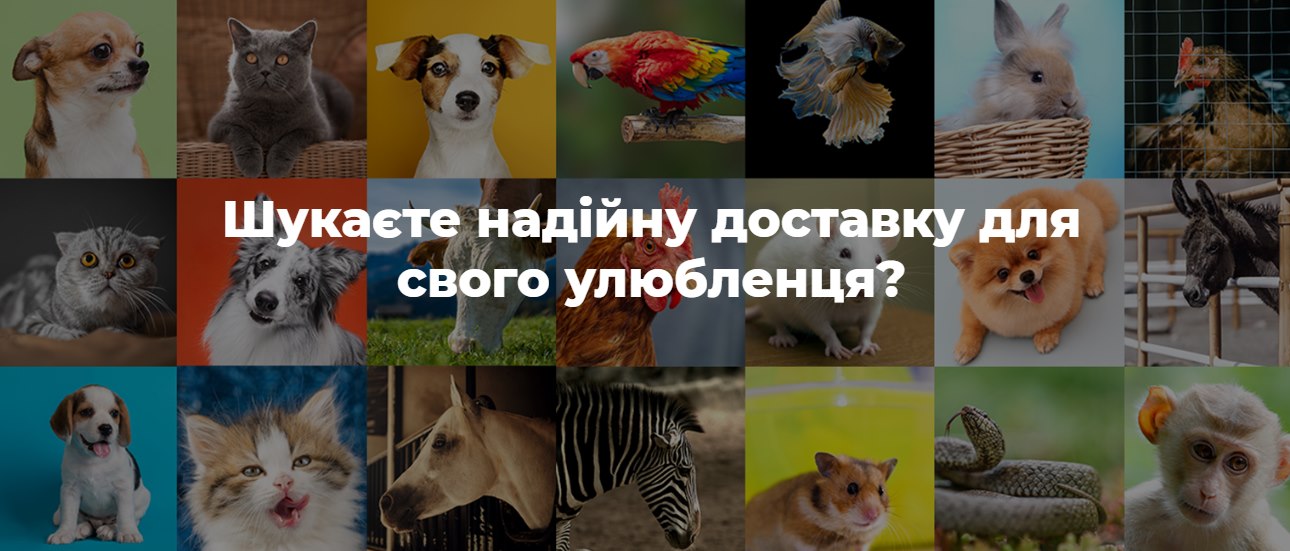 Перевезення тварин з Ізраїлю до ЄС та України та у зворотному напрямку